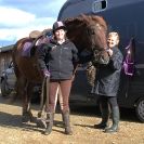 Image 24 in HEAVY HORSE OPEN DAY. MAISEBROOKE FM. SHIPMEADOW. 19 OCT. 2014