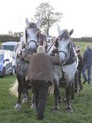 Image 3 in HEAVY HORSE OPEN DAY. MAISEBROOKE FM. SHIPMEADOW. 19 OCT. 2014