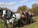 Image 6 in HEAVY HORSE OPEN DAY. MAISEBROOKE FM. SHIPMEADOW. 19 OCT. 2014