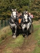 Image 8 in HEAVY HORSE OPEN DAY. MAISEBROOKE FM. SHIPMEADOW. 19 OCT. 2014