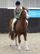 Image 32 in WORKING HUNTER SHOW. BROADS EC 16 NOV 2014