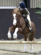 Image 34 in WORKING HUNTER SHOW. BROADS EC 16 NOV 2014