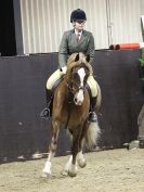 Image 45 in WORKING HUNTER SHOW. BROADS EC 16 NOV 2014
