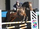 Image 13 in BROADS EC AFF. SHOW JUMPING 24 OCT 2014