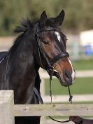 Image 20 in BROADS EC AFF. SHOW JUMPING 24 OCT 2014