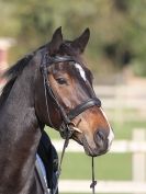 Image 21 in BROADS EC AFF. SHOW JUMPING 24 OCT 2014