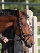 Image 22 in BROADS EC AFF. SHOW JUMPING 24 OCT 2014