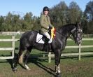 Image 4 in BROADS EC AFF. SHOW JUMPING 24 OCT 2014