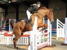 Image 48 in BROADS EC AFF. SHOW JUMPING 24 OCT 2014