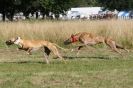 Image 24 in LURCHERS. SANDRINGHAM  2012  SUNDAY.