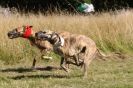 Image 43 in LURCHERS. SANDRINGHAM 2012 SUNDAY.