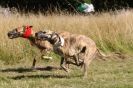 Image 43 in LURCHERS. SANDRINGHAM  2012  SUNDAY.