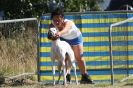 Image 46 in LURCHERS. SANDRINGHAM  2012  SUNDAY.