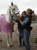 Image 10 in EQUINE VETTING AND DENTISTRY DEMO. SUFFOLK SHOWGROUND 25 OCT. 2014