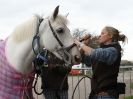 Image 11 in EQUINE VETTING AND DENTISTRY DEMO. SUFFOLK SHOWGROUND 25 OCT. 2014