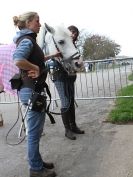 Image 12 in EQUINE VETTING AND DENTISTRY DEMO. SUFFOLK SHOWGROUND 25 OCT. 2014