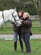 Image 2 in EQUINE VETTING AND DENTISTRY DEMO. SUFFOLK SHOWGROUND 25 OCT. 2014