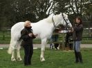Image 3 in EQUINE VETTING AND DENTISTRY DEMO. SUFFOLK SHOWGROUND 25 OCT. 2014