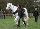 Image 4 in EQUINE VETTING AND DENTISTRY DEMO. SUFFOLK SHOWGROUND 25 OCT. 2014