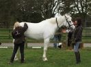 Image 5 in EQUINE VETTING AND DENTISTRY DEMO. SUFFOLK SHOWGROUND 25 OCT. 2014