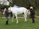 Image 6 in EQUINE VETTING AND DENTISTRY DEMO. SUFFOLK SHOWGROUND 25 OCT. 2014
