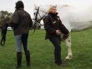 Image 9 in EQUINE VETTING AND DENTISTRY DEMO. SUFFOLK SHOWGROUND 25 OCT. 2014