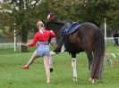 Image 13 in GALLOPING ACROBATICS. SUFFOLK SHOW GROUND 25 OCT 2014