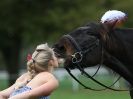 Image 14 in GALLOPING ACROBATICS. SUFFOLK SHOW GROUND 25 OCT 2014