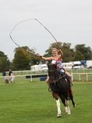 Image 20 in GALLOPING ACROBATICS. SUFFOLK SHOW GROUND 25 OCT 2014