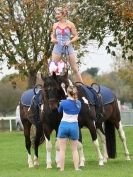 Image 21 in GALLOPING ACROBATICS. SUFFOLK SHOW GROUND 25 OCT 2014
