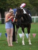 Image 30 in GALLOPING ACROBATICS. SUFFOLK SHOW GROUND 25 OCT 2014