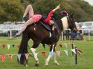 Image 32 in GALLOPING ACROBATICS. SUFFOLK SHOW GROUND 25 OCT 2014