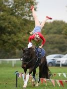 Image 6 in GALLOPING ACROBATICS. SUFFOLK SHOW GROUND 25 OCT 2014
