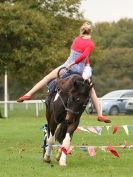 Image 7 in GALLOPING ACROBATICS. SUFFOLK SHOW GROUND 25 OCT 2014