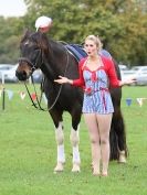 Image 9 in GALLOPING ACROBATICS. SUFFOLK SHOW GROUND 25 OCT 2014