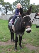 Image 12 in JUST A FEW MORE FROM SUFFOLK SHOWGROUND 25 OCT 2014