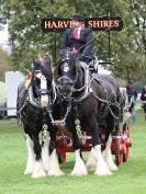 Image 18 in JUST A FEW MORE FROM SUFFOLK SHOWGROUND 25 OCT 2014