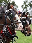 Image 19 in JUST A FEW MORE FROM SUFFOLK SHOWGROUND 25 OCT 2014