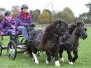 Image 25 in JUST A FEW MORE FROM SUFFOLK SHOWGROUND 25 OCT 2014