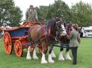 Image 5 in JUST A FEW MORE FROM SUFFOLK SHOWGROUND 25 OCT 2014