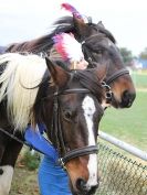 Image 9 in JUST A FEW MORE FROM SUFFOLK SHOWGROUND 25 OCT 2014