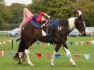 Image 1 in MORE GALLOPING ACROBATS. FANTASTIC SKILLS!!