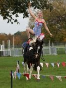 Image 2 in MORE GALLOPING ACROBATS. FANTASTIC SKILLS!!