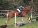 Image 100 in PICTURES FOR EQ LIFE FROM BARNHAM BROOM HUNTER TRIAL 30 OCT 2014