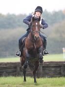 Image 66 in PICTURES FOR EQ LIFE FROM BARNHAM BROOM HUNTER TRIAL 30 OCT 2014