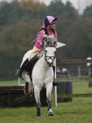 Image 75 in PICTURES FOR EQ LIFE FROM BARNHAM BROOM HUNTER TRIAL 30 OCT 2014