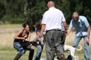 Image 10 in SANDRINGHAM 2012. TERRIER RACING/ SCRAPPING!!