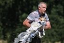 Image 18 in SANDRINGHAM 2012. TERRIER RACING/ SCRAPPING!!