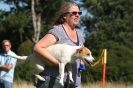 Image 20 in SANDRINGHAM 2012. TERRIER RACING/ SCRAPPING!!