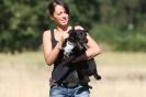 Image 8 in SANDRINGHAM 2012. TERRIER RACING/ SCRAPPING!!
